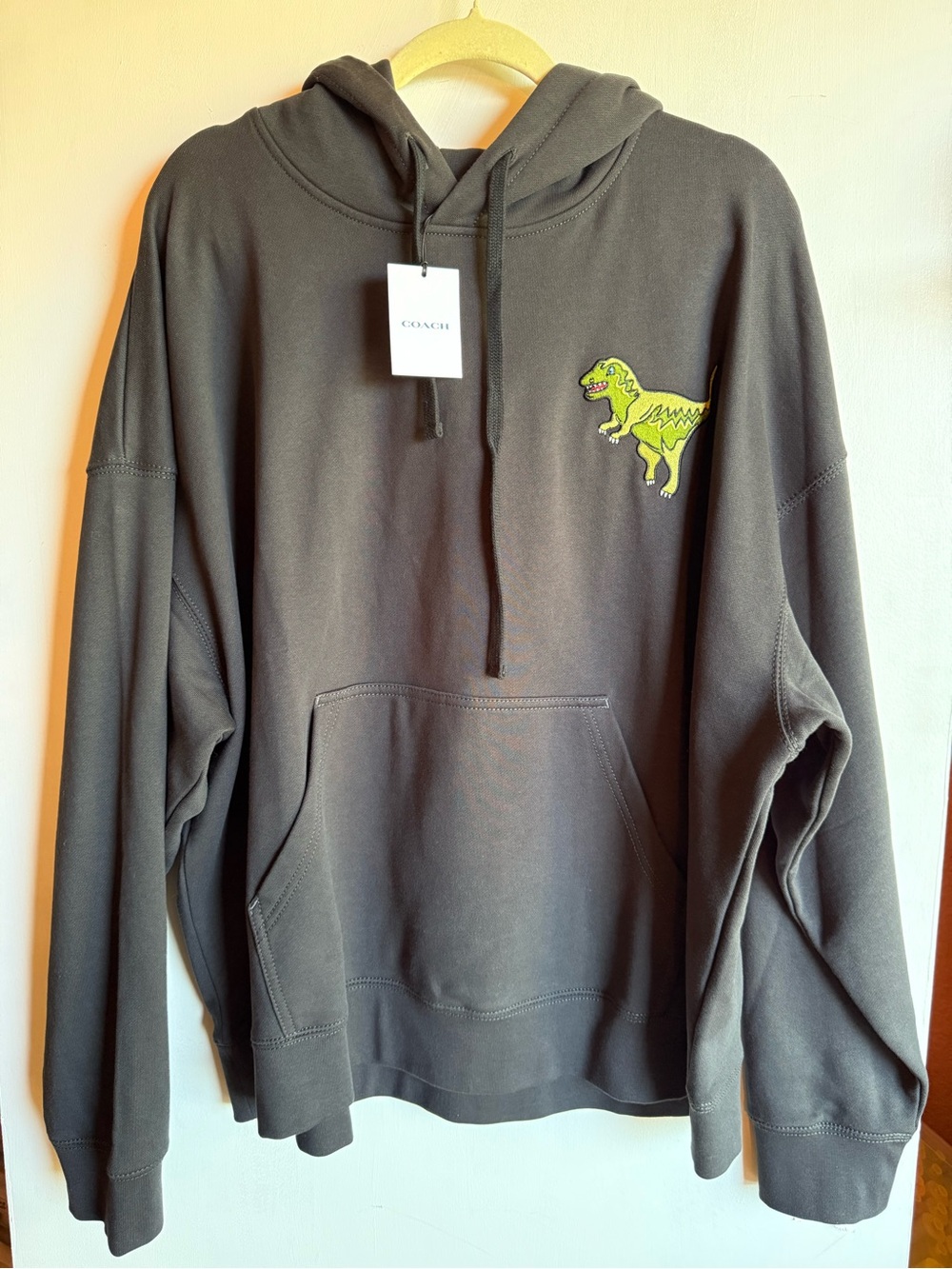 Coach Rexy Hoodie Unisex